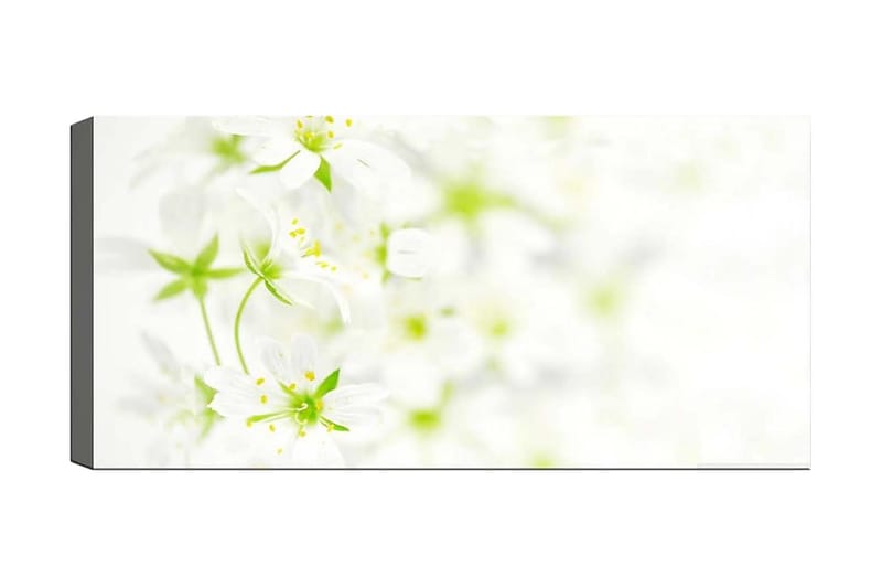 Canvasbillede YTY Floral & Botanical Flerfarvet - 120x50 cm - Boligtilbehør - Billeder & kunst - Billeder på lærred