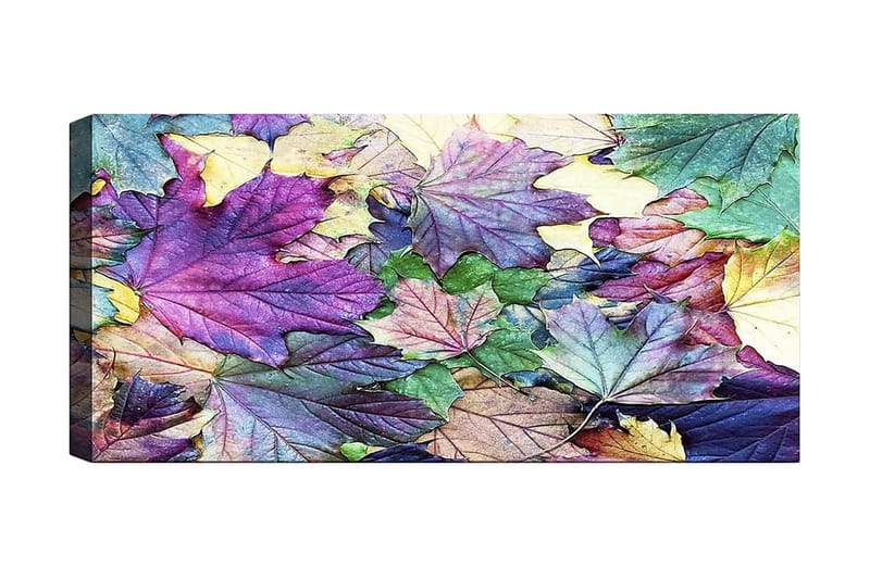 Canvasbillede YTY Floral & Botanical Flerfarvet - 120x50 cm - Boligtilbehør - Billeder & kunst - Billeder på lærred