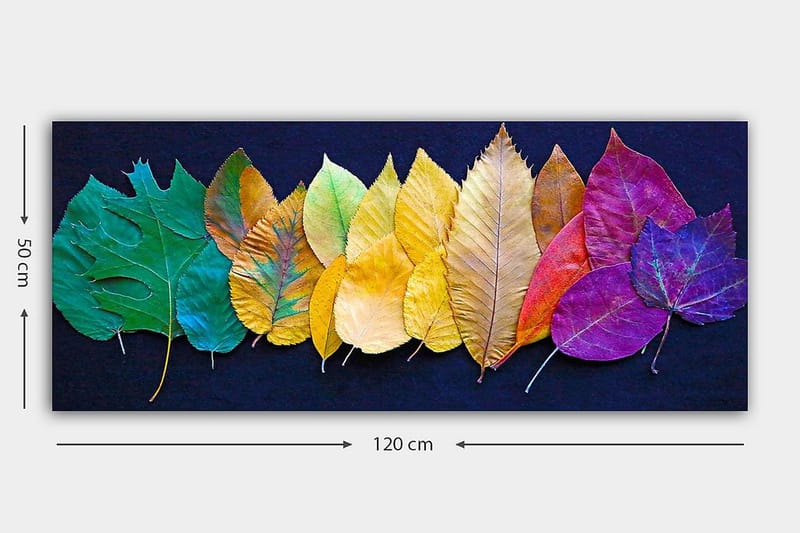 Canvasbillede YTY Floral & Botanical Flerfarvet - 120x50 cm - Boligtilbehør - Billeder & kunst - Billeder på lærred