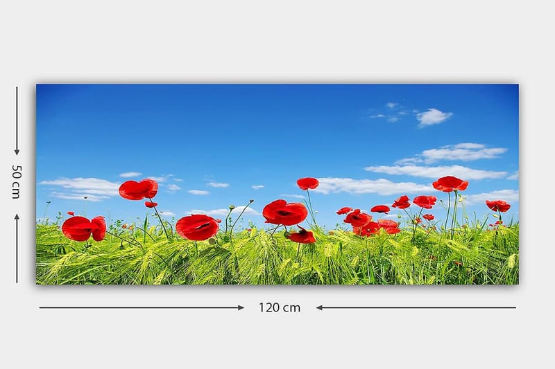 Canvasbillede YTY Floral & Botanical Flerfarvet - 120x50 cm - Boligtilbehør - Billeder & kunst - Billeder på lærred