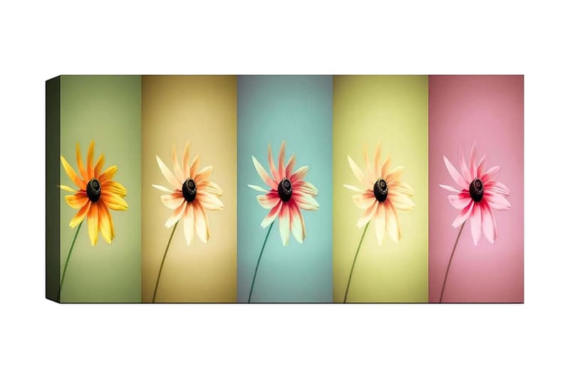 Canvasbillede YTY Floral & Botanical Flerfarvet - 120x50 cm - Boligtilbehør - Billeder & kunst - Billeder på lærred