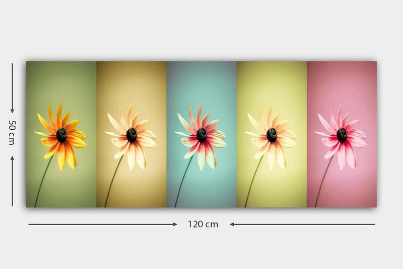 Canvasbillede YTY Floral & Botanical Flerfarvet - 120x50 cm - Boligtilbehør - Billeder & kunst - Billeder på lærred