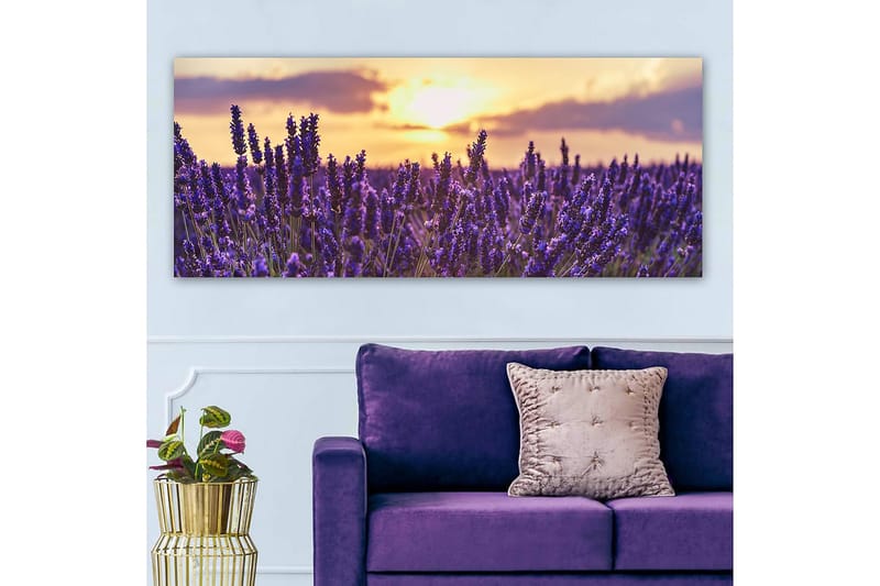 Canvasbillede YTY Floral & Botanical Flerfarvet - 120x50 cm - Boligtilbehør - Billeder & kunst - Billeder på lærred