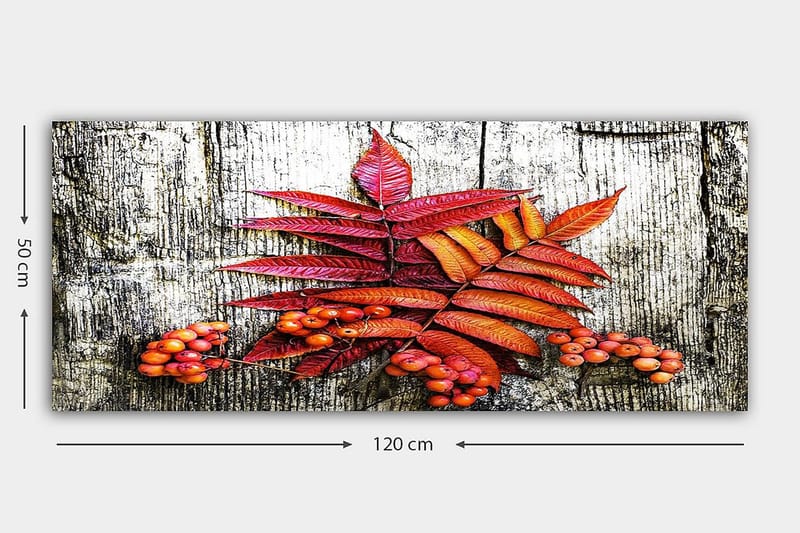 Canvasbillede YTY Floral & Botanical Flerfarvet - 120x50 cm - Boligtilbehør - Billeder & kunst - Billeder på lærred