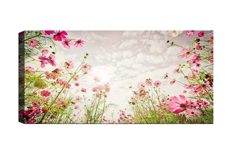 Canvasbillede YTY Floral & Botanical Flerfarvet - 120x50 cm - Boligtilbehør - Billeder & kunst - Billeder på lærred