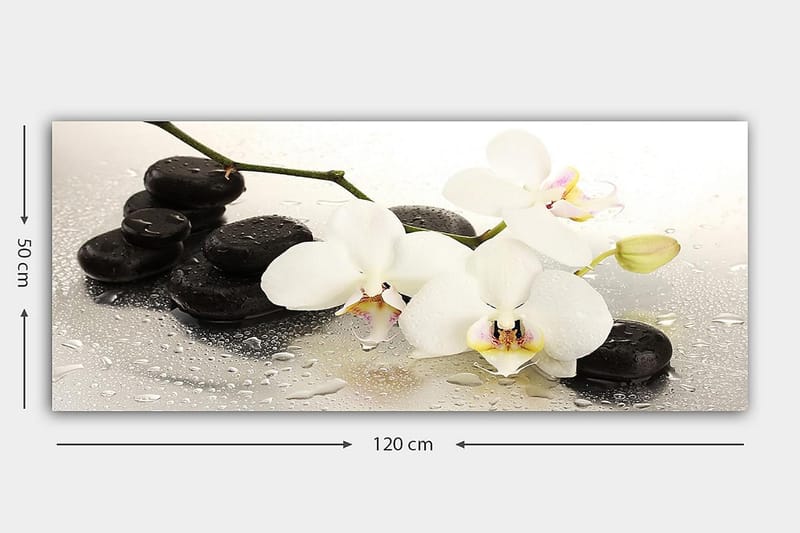 Canvasbillede YTY Floral & Botanical Flerfarvet - 120x50 cm - Boligtilbehør - Billeder & kunst - Billeder på lærred