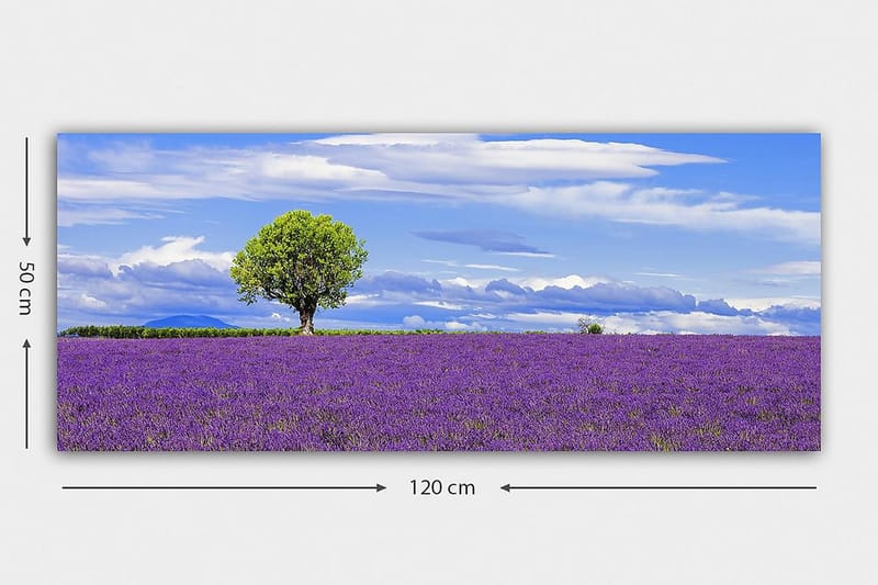 Canvasbillede YTY Floral & Botanical Flerfarvet - 120x50 cm - Boligtilbehør - Billeder & kunst - Billeder på lærred