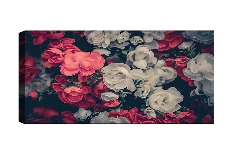 Canvasbillede YTY Floral & Botanical Flerfarvet - 120x50 cm - Boligtilbehør - Billeder & kunst - Billeder på lærred