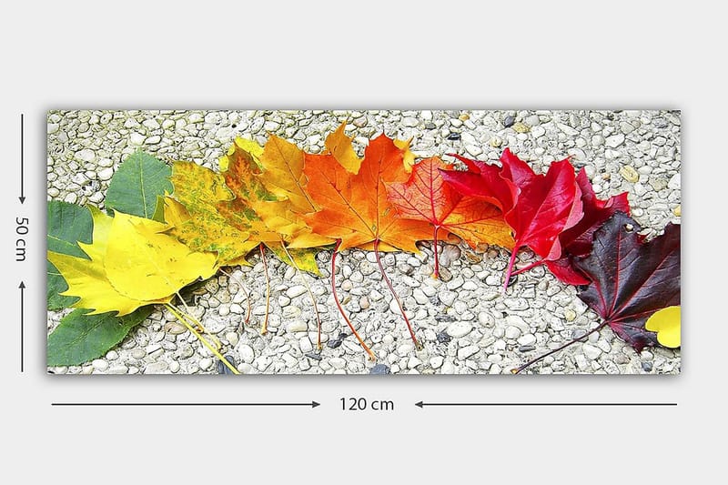 Canvasbillede YTY Floral & Botanical Flerfarvet - 120x50 cm - Boligtilbehør - Billeder & kunst - Billeder på lærred