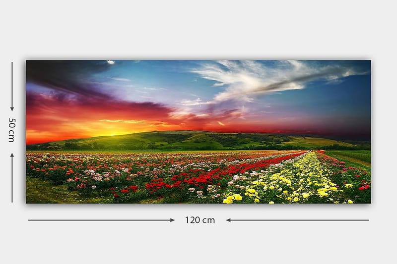 Canvasbillede YTY Floral & Botanical Flerfarvet - 120x50 cm - Boligtilbehør - Billeder & kunst - Billeder på lærred