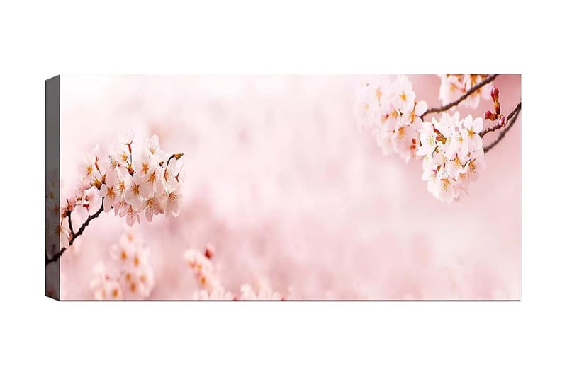 Canvasbillede YTY Floral & Botanical Flerfarvet - 120x50 cm - Boligtilbehør - Billeder & kunst - Billeder på lærred