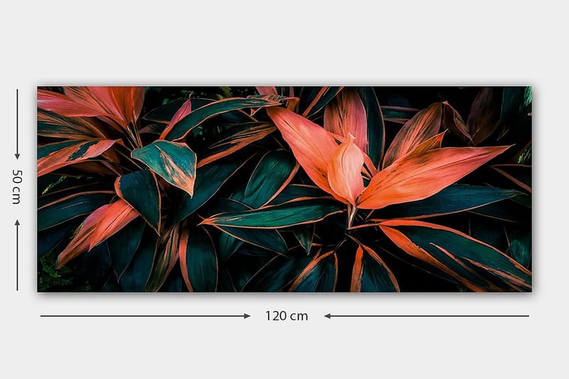 Canvasbillede YTY Floral & Botanical Flerfarvet - 120x50 cm - Boligtilbehør - Billeder & kunst - Billeder på lærred