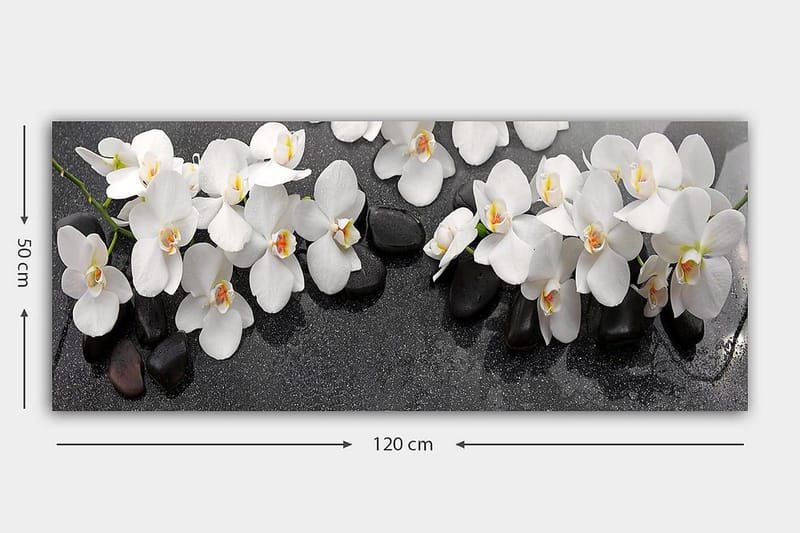 Canvasbillede YTY Floral & Botanical Flerfarvet - 120x50 cm - Boligtilbehør - Billeder & kunst - Billeder på lærred