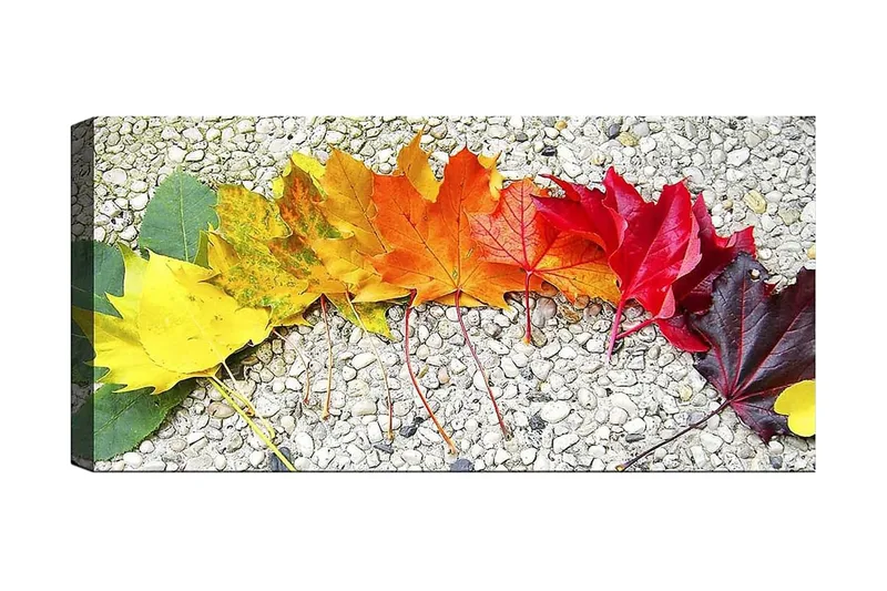 Canvasbillede YTY Floral & Botanical Flerfarvet, 120x50 cm