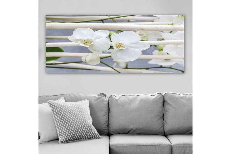 Canvasbillede YTY Floral & Botanical Flerfarvet - 120x50 cm - Boligtilbehør - Billeder & kunst - Billeder på lærred
