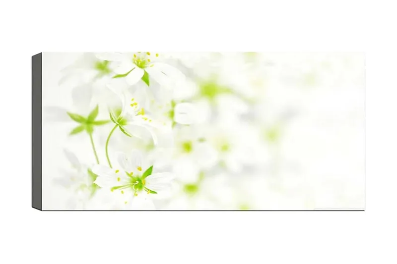 Canvasbillede YTY Floral & Botanical Flerfarvet, 120x50 cm