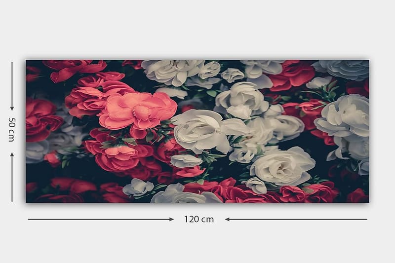 Canvasbillede YTY Floral & Botanical Flerfarvet - 120x50 cm - Boligtilbehør - Billeder & kunst - Billeder på lærred
