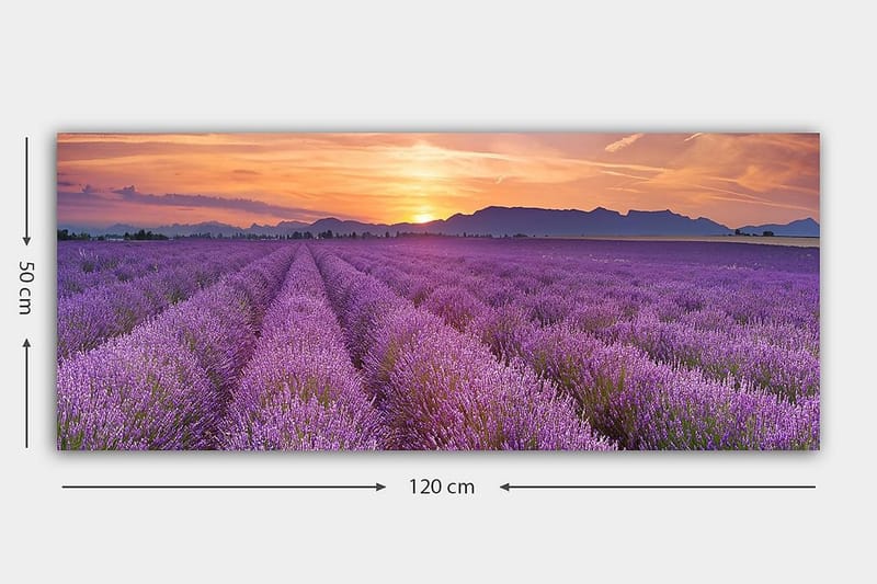 Canvasbillede YTY Floral & Botanical Flerfarvet - 120x50 cm - Boligtilbehør - Billeder & kunst - Billeder på lærred