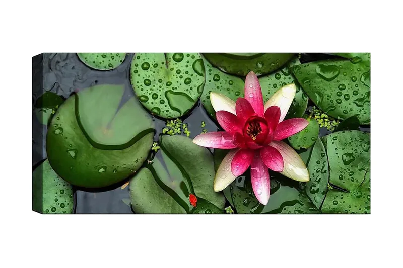 Canvasbillede YTY Floral & Botanical Flerfarvet, 120x50 cm