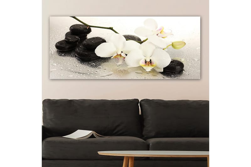 Canvasbillede YTY Floral & Botanical Flerfarvet - 120x50 cm - Boligtilbehør - Billeder & kunst - Billeder på lærred