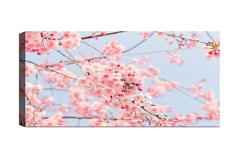 Canvasbillede YTY Floral & Botanical Flerfarvet, 120x50 cm