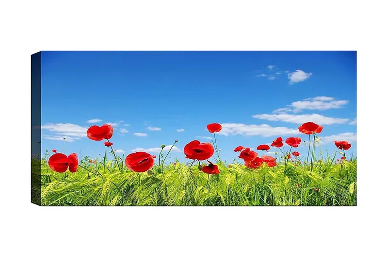 Canvasbillede YTY Floral & Botanical Flerfarvet, 120x50 cm