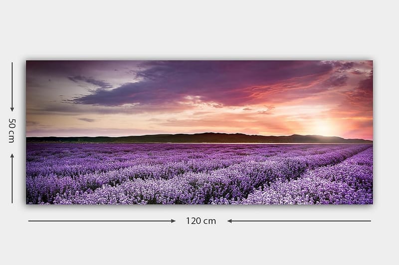 Canvasbillede YTY Floral & Botanical Flerfarvet - 120x50 cm - Boligtilbehør - Billeder & kunst - Billeder på lærred