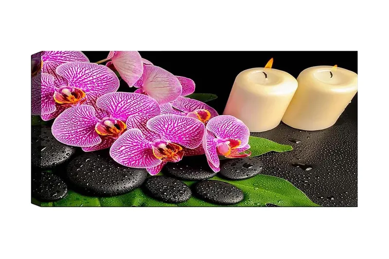 Canvasbillede YTY Floral & Botanical Flerfarvet, 120x50 cm