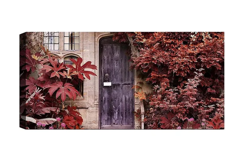 Canvasbillede YTY Floral & Botanical Flerfarvet, 120x50 cm