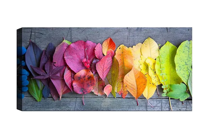 Canvasbillede YTY Floral & Botanical Flerfarvet, 120x50 cm