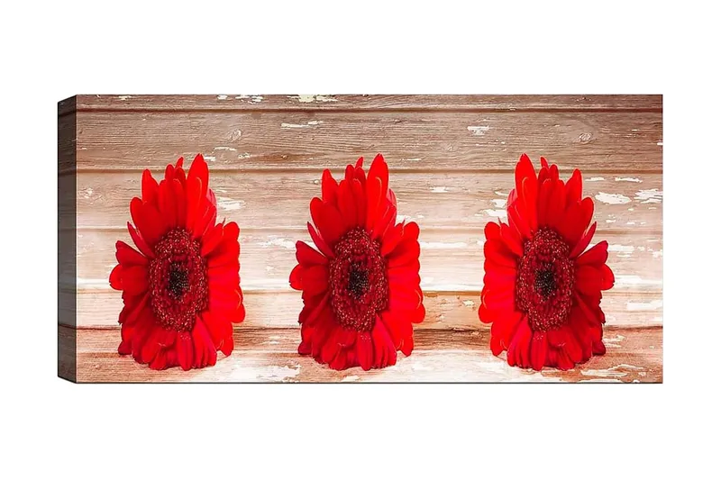 Canvasbillede YTY Floral & Botanical Flerfarvet, 120x50 cm