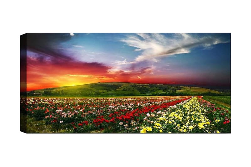 Canvasbillede YTY Floral & Botanical Flerfarvet, 120x50 cm