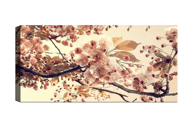 Canvasbillede YTY Floral & Botanical Flerfarvet, 120x50 cm