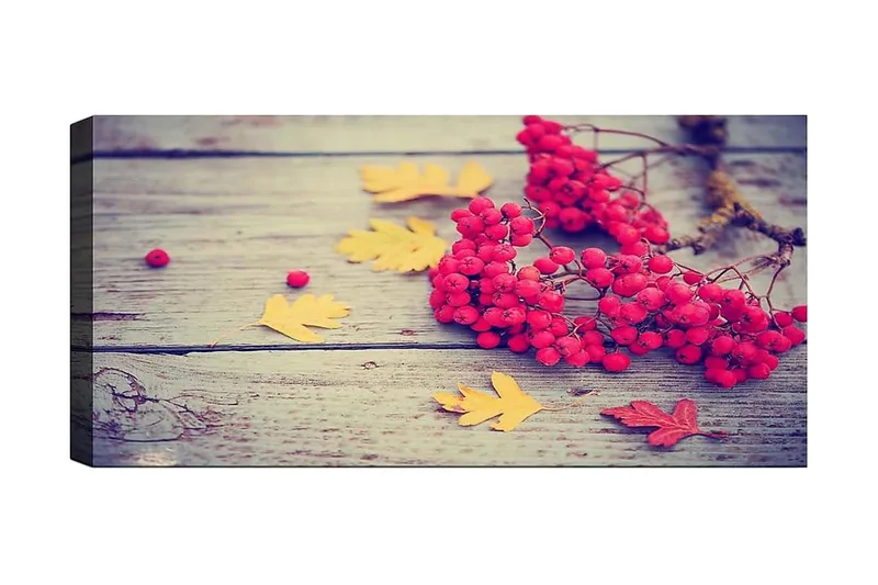 Canvasbillede YTY Floral & Botanical Flerfarvet, 120x50 cm