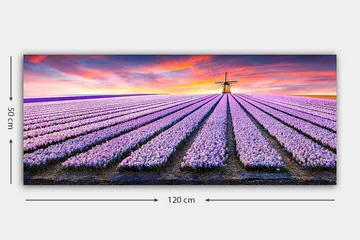 Canvasbillede YTY Floral & Botanical Flerfarvet - 120x50 cm - Boligtilbehør - Billeder & kunst - Billeder på lærred