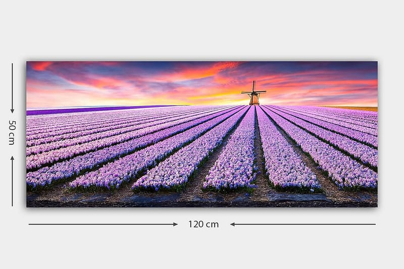 Canvasbillede YTY Floral & Botanical Flerfarvet - 120x50 cm - Boligtilbehør - Billeder & kunst - Billeder på lærred