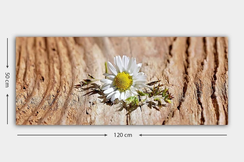 Canvasbillede YTY Floral & Botanical Flerfarvet - 120x50 cm - Boligtilbehør - Billeder & kunst - Billeder på lærred