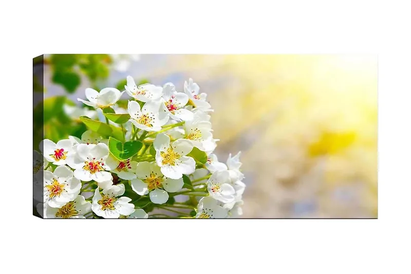 Canvasbillede YTY Floral & Botanical Flerfarvet, 120x50 cm