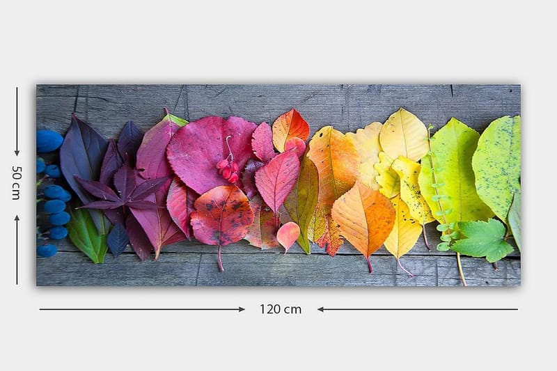 Canvasbillede YTY Floral & Botanical Flerfarvet - 120x50 cm - Boligtilbehør - Billeder & kunst - Billeder på lærred