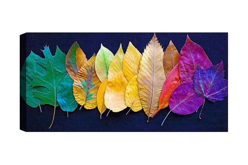 Canvasbillede YTY Floral & Botanical Flerfarvet, 120x50 cm