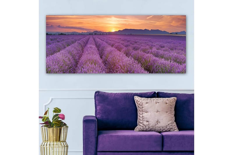 Canvasbillede YTY Floral & Botanical Flerfarvet - 120x50 cm - Boligtilbehør - Billeder & kunst - Billeder på lærred