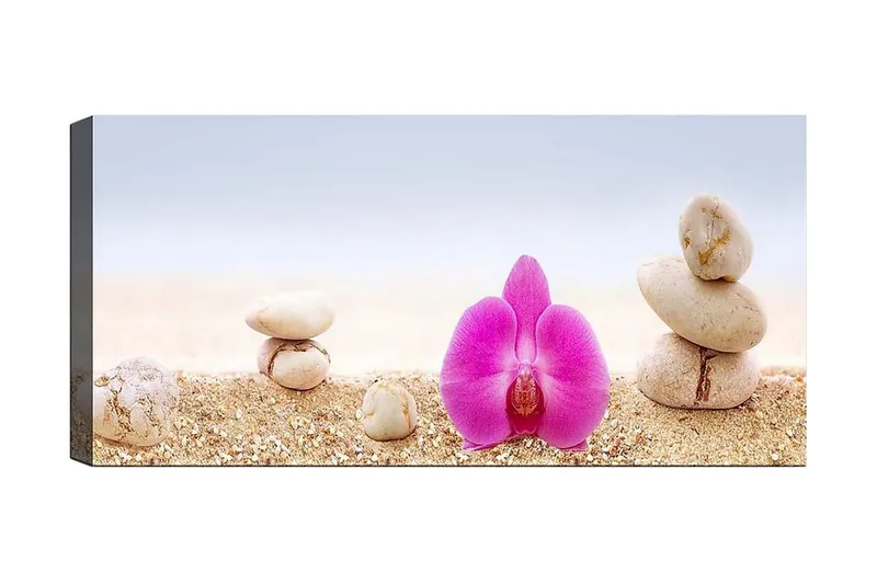 Canvasbillede YTY Floral & Botanical Flerfarvet, 120x50 cm