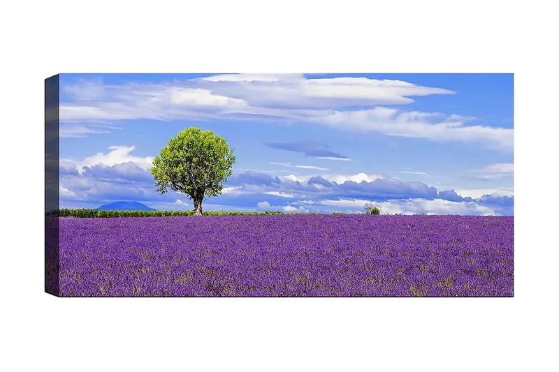 Canvasbillede YTY Floral & Botanical Flerfarvet, 120x50 cm