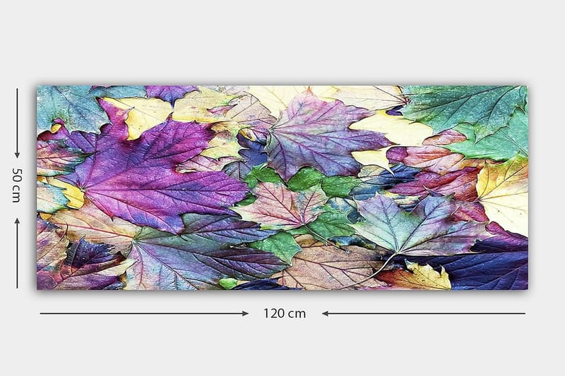 Canvasbillede YTY Floral & Botanical Flerfarvet - 120x50 cm - Boligtilbehør - Billeder & kunst - Billeder på lærred