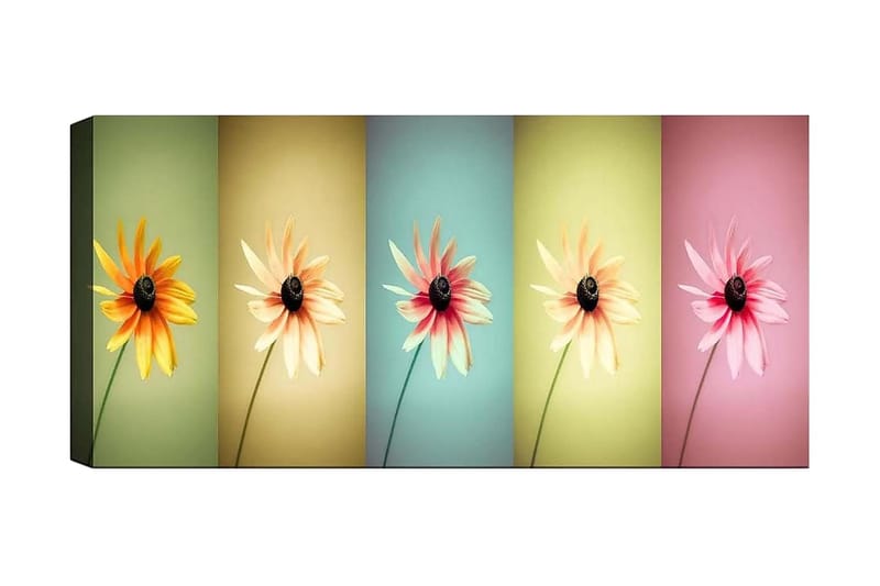 Canvasbillede YTY Floral & Botanical Flerfarvet, 120x50 cm