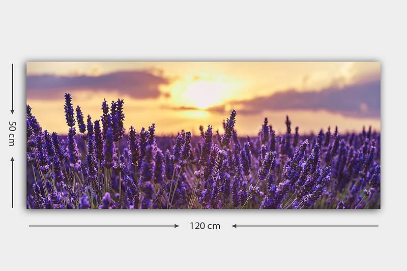 Canvasbillede YTY Floral & Botanical Flerfarvet - 120x50 cm - Boligtilbehør - Billeder & kunst - Billeder på lærred