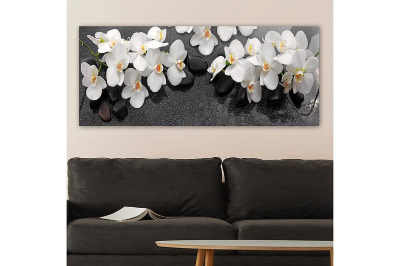 Canvasbillede YTY Floral & Botanical Flerfarvet - 120x50 cm - Boligtilbehør - Billeder & kunst - Billeder på lærred