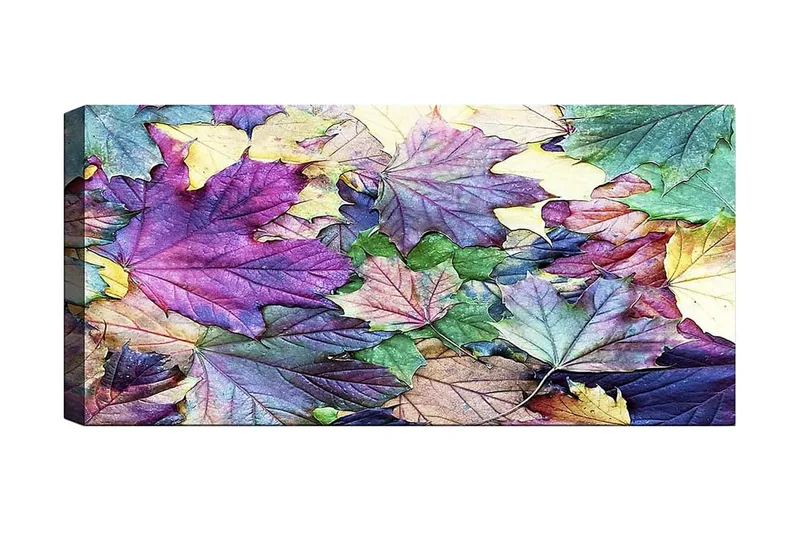 Canvasbillede YTY Floral & Botanical Flerfarvet, 120x50 cm
