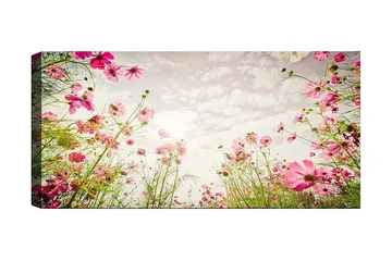 Canvasbillede YTY Floral & Botanical Flerfarvet - 120x50 cm - Boligtilbehør - Billeder & kunst - Billeder på lærred
