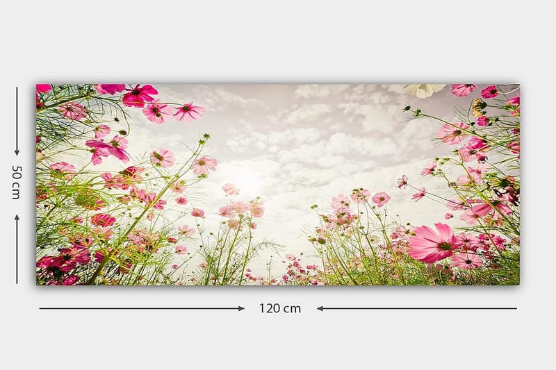 Canvasbillede YTY Floral & Botanical Flerfarvet - 120x50 cm - Boligtilbehør - Billeder & kunst - Billeder på lærred
